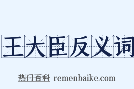 王大臣反义词是什么意思的图片